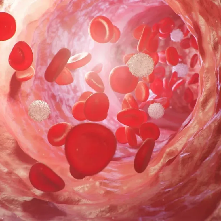 Promote the production of nitric oxide