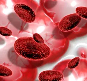 L-Arginine HCL cardiovascular ingredient